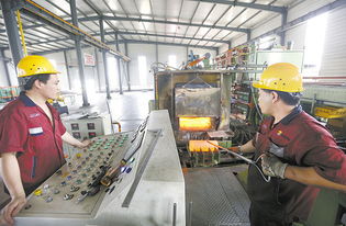 武強(qiáng) 技術(shù)開(kāi)發(fā)領(lǐng)域的璀璨新星與未來(lái)展望